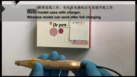 Hersteller 전기 Dr 펜 자동 마이크로 바늘 치료 시스템 A1 Derma Pen